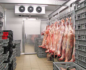 meat cold room